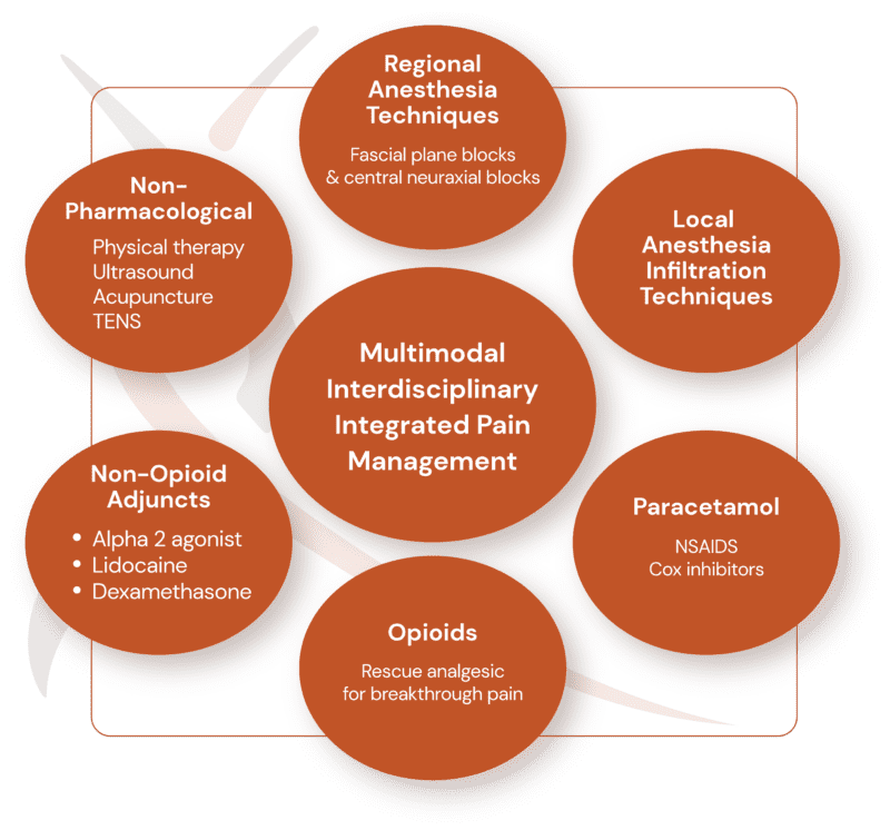 Post-Op Medications and Multimodal Pain Management Strategy