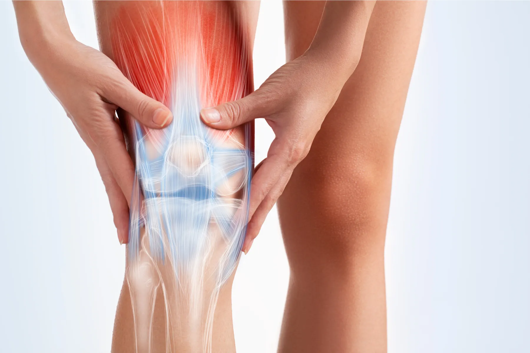 Detailed knee image